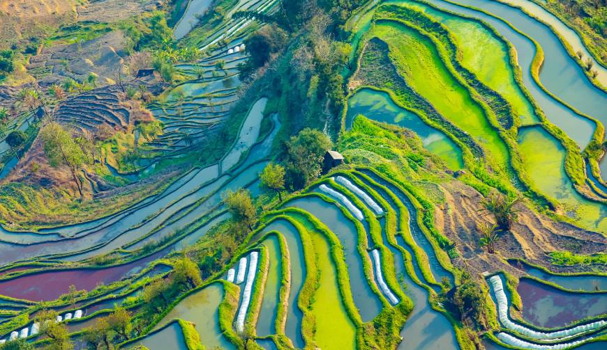 宝妈必备神器：临高县产品视频拍摄轻松育儿好帮手