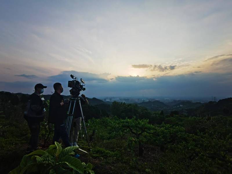 聚焦临高县产品宣传视频拍摄公司，用专业实力铸就品牌传播传奇